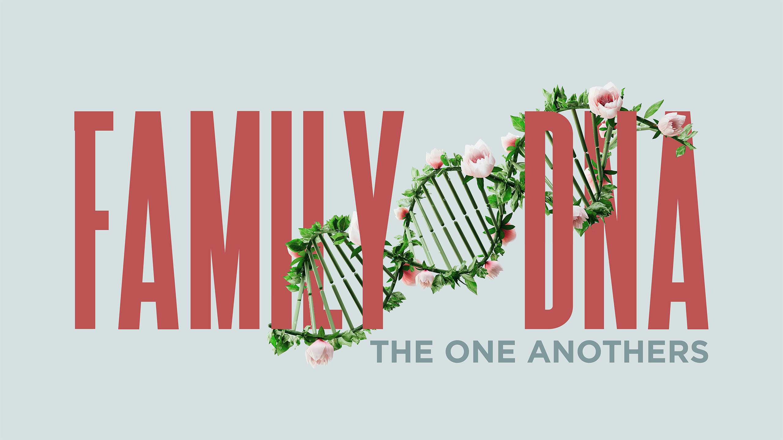 Family DNA
